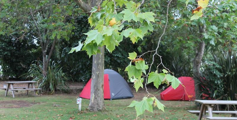 Turangi Holiday Park Buitenkant foto